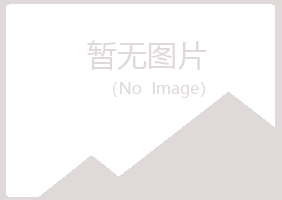 沁阳紫山能源有限公司